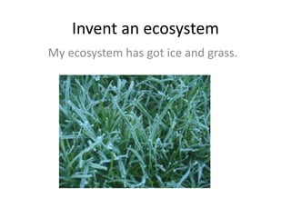 Invent an ecosystem
My ecosystem has got ice and grass.
 
