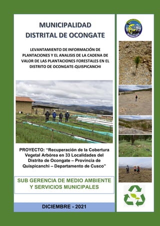 MUNICIPALIDAD DISTRITAL DE OCONGATE
SUB GERENCIA DE MEDIO AMBIENTE Y SERVICIOS MUNICIPALES
PROYECTO: “Recuperación de la Cobertura Vegetal Arbórea en 33 Localidades del Distrito de
Ocongate – Provincia de Quispicanchi – Departamento de Cusco”
PROYECTO: “Recuperación de la Cobertura
Vegetal Arbórea en 33 Localidades del
Distrito de Ocongate – Provincia de
Quispicanchi – Departamento de Cusco”
SUB GERENCIA DE MEDIO AMBIENTE
Y SERVICIOS MUNICIPALES
DICIEMBRE - 2021
LEVANTAMIENTO DE INFORMACIÓN DE
PLANTACIONES Y EL ANALISIS DE LA CADENA DE
VALOR DE LAS PLANTACIONES FORESTALES EN EL
DISTRITO DE OCONGATE-QUISPICANCHI
 