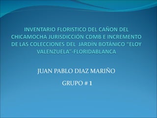 JUAN PABLO DIAZ MARIÑO  GRUPO #  1 