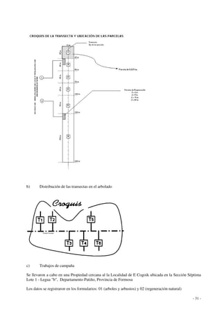- 31 - 
b) Distribución de las transectas en el arbolado 
c) Trabajos de campaña 
Se llevaron a cabo en una Propiedad cercana al la Localidad de E Cogoik ubicada en la Sección Séptima 
Lote 1 - Legua "b", Departamento Patiño, Provincia de Formosa 
Los datos se registraron en los formularios: 01 (arboles y arbustos) y 02 (regeneración natural) 
 