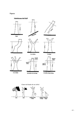 - 42 - 
Figuras 
 