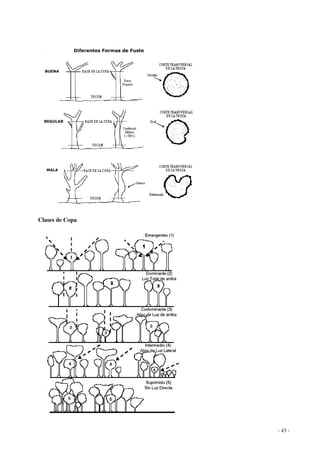 - 43 - 
Clases de Copa 
 