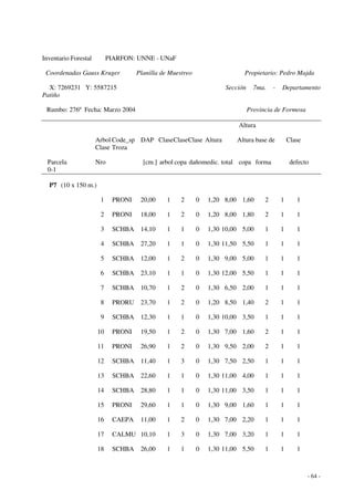 - 64 - 
Inventario Forestal PIARFON: UNNE - UNaF 
Coordenadas Gauss Kruger Planilla de Muestreo Propietario: Pedro Majda 
X: 7269231 Y: 5587215 Sección 7ma. - Departamento 
Patiño 
Rumbo: 276º Fecha: Marzo 2004 Provincia de Formosa 
Altura 
Arbol Code_sp DAP Clase Clase Clase Altura Altura base de Clase 
Clase Troza 
Parcela Nro [cm.] arbol copa dañomedic. total copa forma defecto 
0-1 
P7 (10 x 150 m.) 
1 PRONI 20,00 1 2 0 1,20 8,00 1,60 2 1 1 
2 PRONI 18,00 1 2 0 1,20 8,00 1,80 2 1 1 
3 SCHBA 14,10 1 1 0 1,30 10,00 5,00 1 1 1 
4 SCHBA 27,20 1 1 0 1,30 11,50 5,50 1 1 1 
5 SCHBA 12,00 1 2 0 1,30 9,00 5,00 1 1 1 
6 SCHBA 23,10 1 1 0 1,30 12,00 5,50 1 1 1 
7 SCHBA 10,70 1 2 0 1,30 6,50 2,00 1 1 1 
8 PRORU 23,70 1 2 0 1,20 8,50 1,40 2 1 1 
9 SCHBA 12,30 1 1 0 1,30 10,00 3,50 1 1 1 
10 PRONI 19,50 1 2 0 1,30 7,00 1,60 2 1 1 
11 PRONI 26,90 1 2 0 1,30 9,50 2,00 2 1 1 
12 SCHBA 11,40 1 3 0 1,30 7,50 2,50 1 1 1 
13 SCHBA 22,60 1 1 0 1,30 11,00 4,00 1 1 1 
14 SCHBA 28,80 1 1 0 1,30 11,00 3,50 1 1 1 
15 PRONI 29,60 1 1 0 1,30 9,00 1,60 1 1 1 
16 CAEPA 11,00 1 2 0 1,30 7,00 2,20 1 1 1 
17 CALMU 10,10 1 3 0 1,30 7,00 3,20 1 1 1 
18 SCHBA 26,00 1 1 0 1,30 11,00 5,50 1 1 1 
 