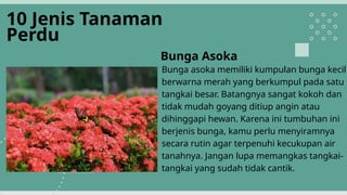 INVENTARISASI TANAMAN HIAS UNTUK HALAMAN RUMAHpptx | PPTX