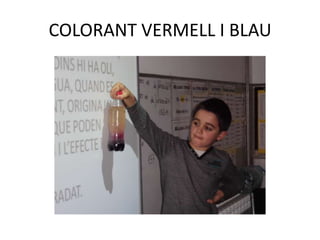 COLORANT VERMELL I BLAU

 