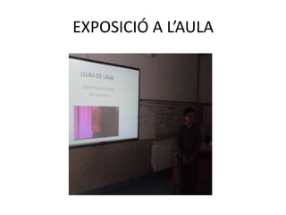 EXPOSICIÓ A L’AULA

 