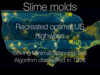 Slime molds 
Don’t have a nervous system 
use external memory to 
process information 
 