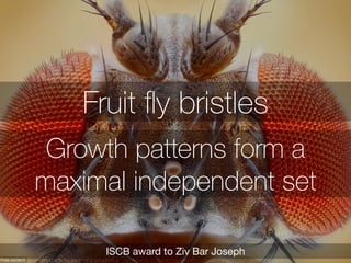 Graph coloring problem 
Closely related to maximal independent sets 
Solved: 1976 
 