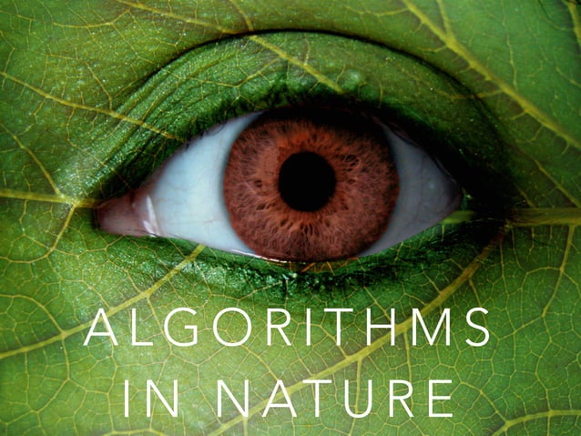 Algorithms in nature | PPT