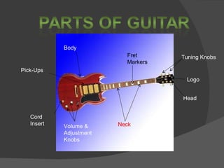Pick-Ups Tuning Knobs Neck Body Cord Insert Fret Markers Head Logo Volume & Adjustment Knobs 