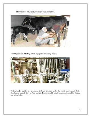 Third plant is at Kanjari, which produces cattle feed.




Fourth plant is at Khatraj, which engaged in producing cheese.




Today, twelve dairies are producing different products under the brand name Amul. Today
Amul dairy is no. 1 dairy in Asia and no. 2 in the world, which is matter of proud for Gujarat
and whole India.




                                                                                           37
 