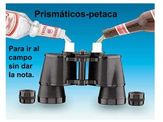 Para ir al campo sin dar la nota. Prismáticos-petaca 