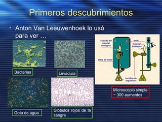 Primeros descubrimientos
• Anton Van Leeuwenhoek lo usó
para ver …
Microscopio simple
~ 300 aumentos
Bacterias Levadura
Gota de agua
Glóbulos rojos de la
sangre
 