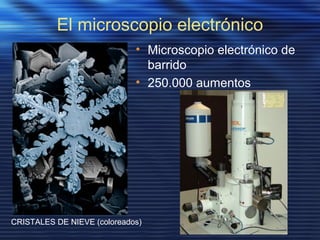 El microscopio electrónico
• Microscopio electrónico de
barrido
• 250.000 aumentos
CRISTALES DE NIEVE (coloreados)
 