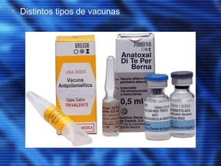 • Distintos tipos de vacunas
 