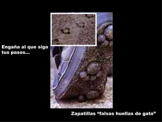 Engaña al que siga tus pasos… Zapatillas “falsas huellas de gato” 