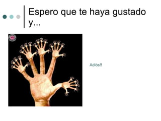Espero que te haya gustado y... Adiós!! 