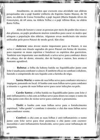60
Atualmente, os anciãos que exercem essa atividade nas aldeias
pesquisadas são o pajé Itambé (Alberto do Espírito Santo Matos), de 78
anos, na aldeia de Coroa Vermelha; a pajé Jaçanã (Maria Dajuda Alves da
Conceição), de 69 anos, na Aldeia Velha; e o pajé Albino Braz, na aldeia
Barra Velha.
Além de benzer e curar as pessoas por meio do poder das rezas e
das plantas, os pajés produzem muitos remédios para curar os males que
atingem a população das aldeias. Algumas ervas medicinais são muito
utilizadas pelo povo Pataxó de modo geral. São elas:
•
• eAmesca: uma árvore muito importante para os Pataxó. A sua
seiva é usada nos rituais sagrados do povo Pataxó em forma de incenso,
para espantar os maus espíritos e fortalecer os espíritos dos guerreiros.
Também tem importante uso medicinal: a seiva serve para combater dores
de cabeça, dor de dente, sinusite, dor de barriga e outros. Seu aroma é
bastante agradável.
•
• Babosa: a folha da babosa batida no liquidificador junto com
leite é usada para combater o câncer. É também eficaz no combate à diabete,
fazendo o comprimido do seu líquido com a farinha de trigo.
•
• eSanta Maria: o sumo de sua folha serve para combater micoses e
impigem, passando no local. O banho com suas folhas serve para combater
a sinusite e a goma de suas folhas serve para curar infecções na pele.
•
• eCardo Santo: a folha batida no liquidificador junto com leite é
anti-inflamatório; o chá com as folhas serve para dores no corpo; o sumo da
folha junto com óleo de rícino serve para combater a pneumonia.
•
• eTioiô: o banho com suas folhas serve para o fortalecimento
espiritual, “olho gordo” e combate à sinusite; o chá das suas folhas serve
para combater verme.
•
• eConfrei: o chá com as suas folhas é anti-inflamatório; o sumo
junto com leite serve para tirar pustema; o chá junto com coentro-
maranhão é anti-inflamatório fortalecido, serve para curar inflamação de
garganta.
 
