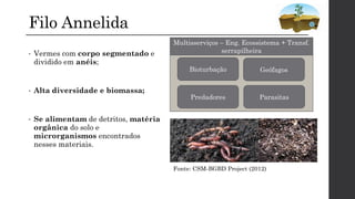 Filo Annelida
• Vermes com corpo segmentado e
dividido em anéis;
• Alta diversidade e biomassa;
• Se alimentam de detritos, matéria
orgânica do solo e
microrganismos encontrados
nesses materiais.
Bioturbação
Parasitas
Geófagos
Predadores
Multisserviços – Eng. Ecossistema + Transf.
serrapilheira
Fonte: CSM-BGBD Project (2012)
 