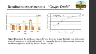 Resultados experimentais – “Grupo Tenda”
Fig. 3 Biomassa de minhocas em cultivo de trigo de longa duração com adubação
mineral (creme) e orgânica (dourado) (a) e correlação entre biomassa de minhocas
e carbono orgânico total (b). Fonte: Souza (2018)
(a) (b)
 