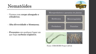 Nematóides
• Vermes com corpo alongado e
cilíndrico;
• Alta diversidade e biomassa;
• Presentes em qualquer lugar em
que haja carbono orgânico.
Herbívoros
Parasitas
Microrregulador
Predadores
Micropredadores e parasitas de plantas
Fonte: CSM-BGBD Project (2012)
 