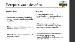 Perspectivas e desafios
Perspectivas:
• Trabalhos mais aprofundados
sobre a caracterização molecular
dos FMA;
• Mapear a ocorrência de espécies de
FMA no Bioma Caatinga;
• Identificar espécies exclusivas do
Bioma Caatinga;
Desafios:
• Pequeno número de
pesquisadores e taxonomistas de
FMA no Bioma Caatinga;
• Dificuldades para realizar a
descrição em nível de espécie –
problemas com os esporos;
• Atividade altamente dependente
da planta hospedeira –
Impossibilidade de isolamento em
meio de cultivo.
 