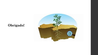 Obrigado!
 