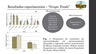 Resultados experimentais – “Grupo Tenda”
Fig. 1 Frequência de ocorrência de
macroartrópodes em agroecossistema
(dourado) e vegetação nativa característica
do Bioma Caatinga (creme). Ordens menos
frequentes (a) e ordens de maior frequência
(b). Fonte: Souza (2018)
Araneae
Coleoptera
Orthoptera
Mantodea
Blattodea
Homoptera
Hemiptera
Hymenoptera
Isoptera
Menos frequentes
Mais frequentes
 