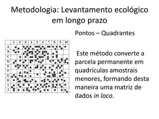 Metodologia: Levantamento ecológico
em longo prazo
Pontos – Quadrantes
Este método converte a
parcela permanente em
quadrículas amostrais
menores, formando desta
maneira uma matriz de
dados in loco.
 