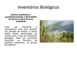 Inventários Biológicos
Estimar qualitativa e
quantitativamente a diversidade
de fauna ou flora de uma
localidade
Fazer um inventário é
acompanhar uma área durante
um período de tempo, e retirar
dados destas observações de
acordo com o tipo de inventário
desejado. Pode ser inventário
faunístico ou florístico de
espécies específicas, ou grupos
de espécies.
 
