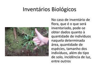 Inventários Biológicos
No caso de inventário de
flora, que é o que será
inventariado, pode-se
obter dados quanto à
quantidade de indivíduos
naquela determinada
área, quantidade de
espécies, tamanho dos
indivíduos, além do tipo
de solo, incidência de luz,
entre outros
 