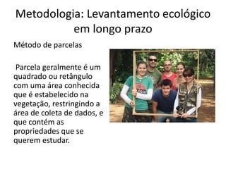 Metodologia: Levantamento ecológico
em longo prazo
Método de parcelas
Parcela geralmente é um
quadrado ou retângulo
com uma área conhecida
que é estabelecido na
vegetação, restringindo a
área de coleta de dados, e
que contém as
propriedades que se
querem estudar.
 