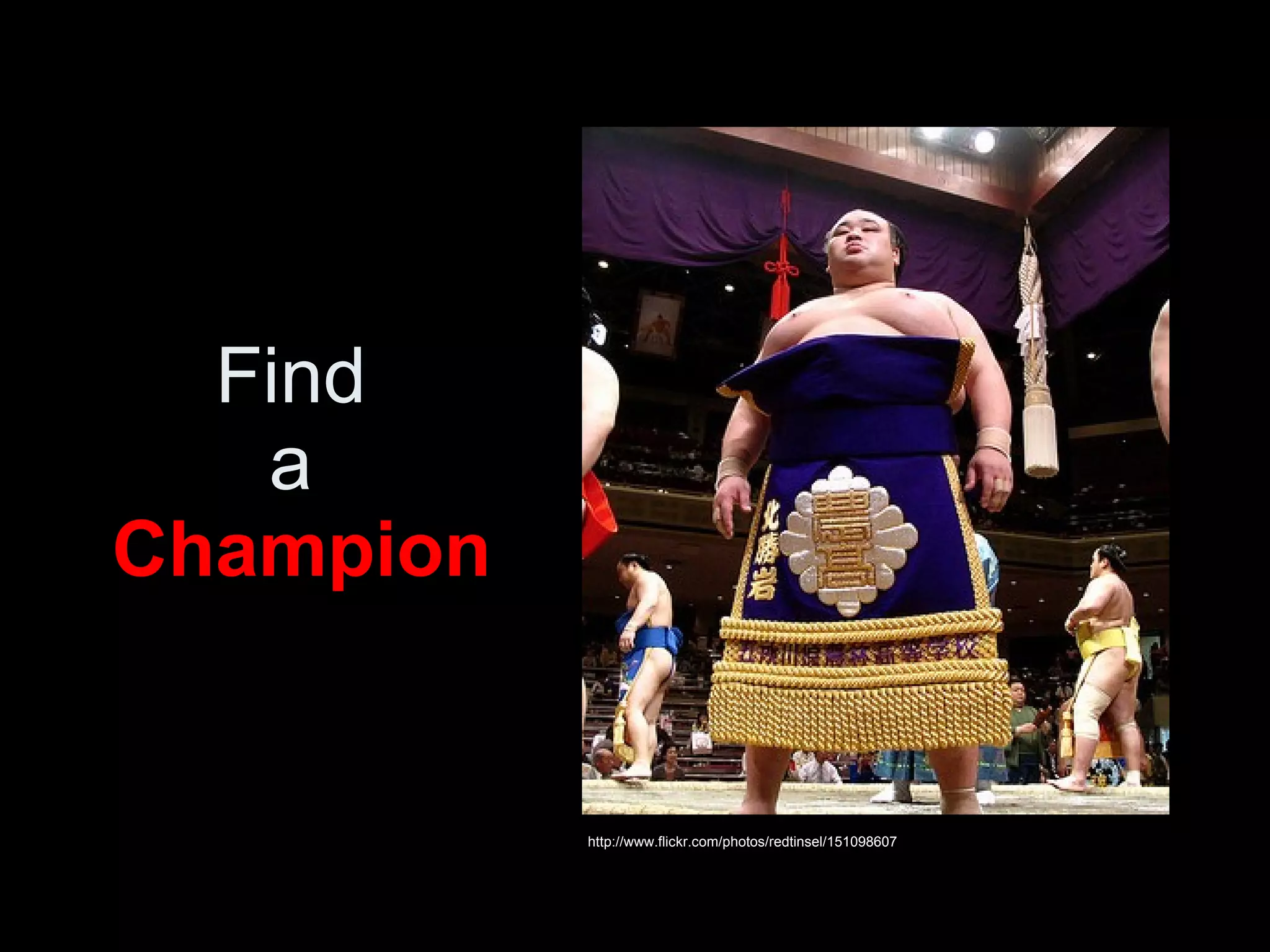 Find  a  Champion http://www.flickr.com/photos/redtinsel/151098607 