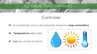 Controlar
➔ Humedad del suelo y del ambiente mediante riego automático
➔ Temperatura adecuada
➔ Luz que recibe la planta
1.2 OBJETIVO MÍNIMO
 