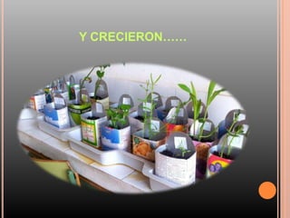 Y CRECIERON……
 