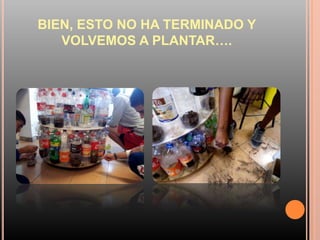 BIEN, ESTO NO HA TERMINADO Y
VOLVEMOS A PLANTAR….
 
