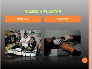 VAMOS A PLANTAR
SEMILLAS COMPOST
 