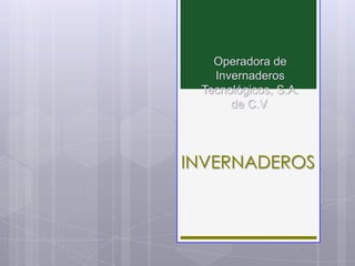 Operadora de
   Invernaderos
 Tecnológicos, S.A.
      de C.V.




INVERNADEROS
 