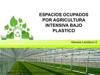 ESPACIOS OCUPADOS
POR AGRICULTURA
INTENSIVA BAJO
PLASTICO
Génesis Landázuri Z.
 
