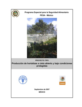 Programa Especial para la Seguridad Alimentaria
PESA - México
PROYECTO TIPO
Producción de hortalizas a cielo abierto y bajo condiciones
protegidas
Septiembre de 2007
MÉXICO
 