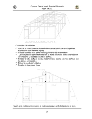 Programa Especial para la Seguridad Alimentaria
PESA - México
Colocación de cubiertas
Colocar el plástico del techo del invernadero sujetandolo en los perfiles
sujetadores con alambre zigzag
Colocar plástico en la parte frontal y posterior del invernadero
Colocar plástico conjuntamente con la malla antiáfidos en las laterales del
invernadero. El plástico servirá de cortina.
Colocar el tubo cortijero con su mecanismo de bajar y subir las cortinas con
las poleas y malacates
Cubrir la puerta con plástico
Instalar el sistema de riego.
Figura 5. Vista frontal de un invernadero de madera a dos aguas con techo tipo diente de sierra.
24
 
