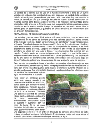 Programa Especial para la Seguridad Alimentaria
PESA - México
La calidad de la semilla que se use en el huerto determinará el éxito de un cultivo
vegetal; sin embargo, las semillas híbridas son costosas. La calidad de la semilla se
deteriora tras algunas generaciones; por esto, cada cinco años hay que cambiar la
fuente de semilla por una que provenga de fuera del huerto. Sólo se seleccionan las
mejores plantas para dejarlas producir semilla y es necesario remover toda planta
infectada o débil antes de la floración, para que sus características negativas no sean
heredadas en la nueva semilla. Luego de cosechar es necesario secar bien la
semilla, pero sin deshidratarla, y guardarla en fundas sin aire o en contenedores que
las protejan de los roedores.
PREPARACIÓN DE ALMÁCIGOS O SEMILLEROS
Las semillas grandes, como frijol ejotero, chícharo y calabaza, pueden sembrarse
directamente en la cama de siembra; pero las semillas pequeñas, como tomate,
chile, lechuga y cebolla, deben ser germinadas en semilleros y luego transplantadas
al huerto. El suelo de las camas de germinación debe ser fino, sin piedras, ni palos y
debe estar elevado cuando menos 15 cm de la superficie del terreno, si se hace
directamente sobre el suelo. Después de marcar el sitio donde se establecerá el
semillero, se afloja con una pala o bieldo y se desmoronan los terrones con un
rastrillo. Posteriormente se compacta ligeramente el suelo con una tabla plana y
luego se hacen unos surcos superficiales de 1 cm de profundidad y una separación
de 10 cm, donde se sembrarán las semillas, cubriéndolas con una ligera capa de
tierra. Finalmente, colocar una pequeña capa de paja y regar la cama de siembra.
Pero es más recomendable hacer el semillero en macetas, charolas o cajones, con
un sustrato compuesto de tierra y arena. Para preparar el sustrato se debe mezclar la
tierra con arena en partes iguales, para mejorar el drenaje y evitar la infección de la
semilla con hongos. Con el propósito de reducir más la posibilidad de infección, antes
de sembrar es conveniente aplicar
agua hirviendo sobre el sustrato.
Para hacer un almácigo puede
servir una maceta grande o un
cajón de madera de 30x30x10 cm,
donde caben por ejemplo 40 coles
para trasplantar. También pueden
usarse bolsas o vasitos de plástico
de 5 a 8 cm de diámetro. Tomando
una pequeña cantidad de semillas
(dos o tres) se colocan en el centro
de cada contenedor sin
amontonarlas, presionando sobre
el sustrato y cubriendo con un
poco de tierra. Si no se usan
depósitos individuales o charolas,
cada golpe de siembra debe tener
una separación de 8 o 10 cm entre sí. Después de sembrar el semillero se debe
colocar en un lugar protegido del sol directo. Es importante cuidar que no se seque el
sustrato, pero tampoco debe estar siempre saturado de agua.
Semilleros de tomate en charolas y bolsas de plástico en Yucatán
8
 