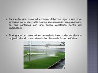 Para evitar una humedad excesiva, debemos regar a una hora
temprana por el día y sólo cuando sea necesario, asegurándonos
de que contamos con una buena ventilación dentro del
invernadero.
 Si el grado de humedad es demasiado bajo, podemos elevarlo
mojando el suelo o vaporizando las plantas de forma periódica.
 