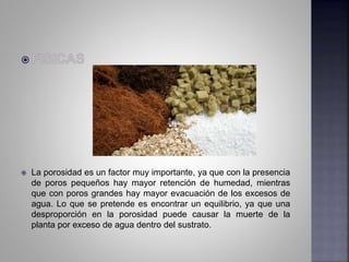  La porosidad es un factor muy importante, ya que con la presencia
de poros pequeños hay mayor retención de humedad, mientras
que con poros grandes hay mayor evacuación de los excesos de
agua. Lo que se pretende es encontrar un equilibrio, ya que una
desproporción en la porosidad puede causar la muerte de la
planta por exceso de agua dentro del sustrato.
 
