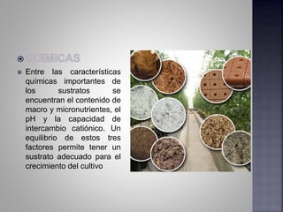 Entre las características
químicas importantes de
los sustratos se
encuentran el contenido de
macro y micronutrientes, el
pH y la capacidad de
intercambio catiónico. Un
equilibrio de estos tres
factores permite tener un
sustrato adecuado para el
crecimiento del cultivo
 