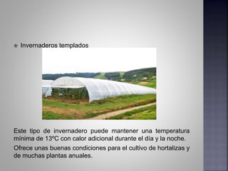  Invernaderos templados
Este tipo de invernadero puede mantener una temperatura
mínima de 13ºC con calor adicional durante el día y la noche.
Ofrece unas buenas condiciones para el cultivo de hortalizas y
de muchas plantas anuales.
 