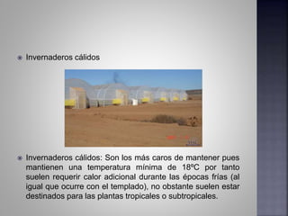  Invernaderos cálidos
 Invernaderos cálidos: Son los más caros de mantener pues
mantienen una temperatura mínima de 18ºC por tanto
suelen requerir calor adicional durante las épocas frías (al
igual que ocurre con el templado), no obstante suelen estar
destinados para las plantas tropicales o subtropicales.
 