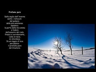 Profumo puro  Dalla soglia dell'inverno sento i rintocchi  del pulsare  della mia esistenza. Spalanco  la porta della mia anima e l’odore dell’azzurro del cielo, fresco e corroborante, come di neve, mi stordisce. In un raggio di luce percepisco  il profumo puro del Creatore. 