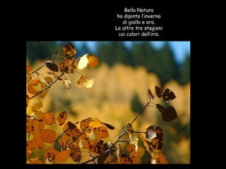 Bella Natura ha dipinto l’inverno di giallo e oro. Le altre tre stagioni coi colori dell’iris. 
