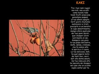 KAKI  Tra i tuoi rami rugosi non nidi, non uccelli: come nuvola rada tondi frutti arancione penzolano sospesi  al tuo albero spoglio. Certi giorni d’autunno malinconici e tristi, precipito in un baratro di cupo abbattimento; mangio allora qualcuno dei tuoi pomi dorati, quei diosperi divini nutrimento di dei. Assaporo con gioia  la tua polpa dolciastra, molle, densa, cremosa, che fa volare alto lo spirito e il cuore. La tua dolcezza, kaki, ha quel sapore lento dei lenti baci, sacri, dati alla donna amata.  Sul tuo ramo più alto ho lasciato dei diosperi nel caso che un uccello voglia cantar per te. 